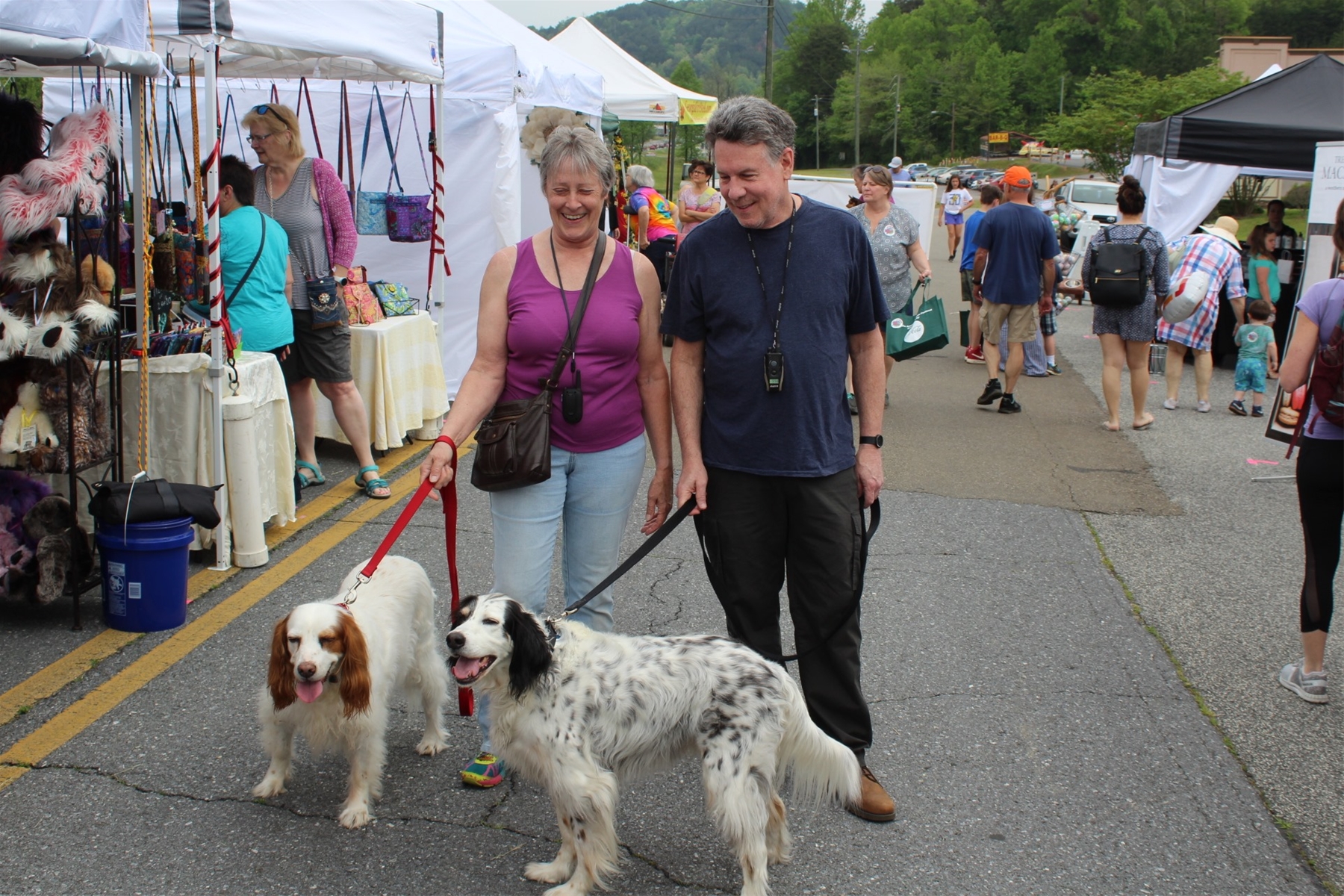 Apple Blossom Festival An Event Guide Blue Sky Cabin Rentals